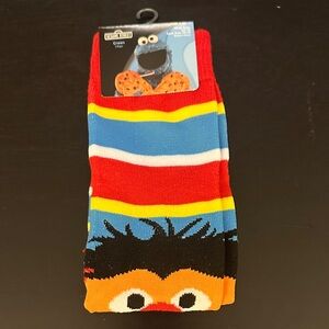 Sesame Street Earnie Men’s Crew Socks - Multicolor Striped Design